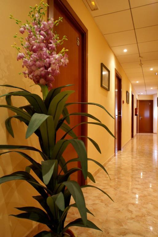 Hotel Mont-Roig ภายนอก รูปภาพ